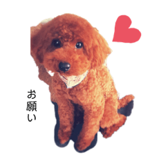 hayato_20200225192539