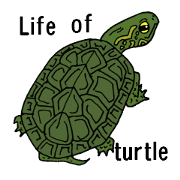 Life of turtle