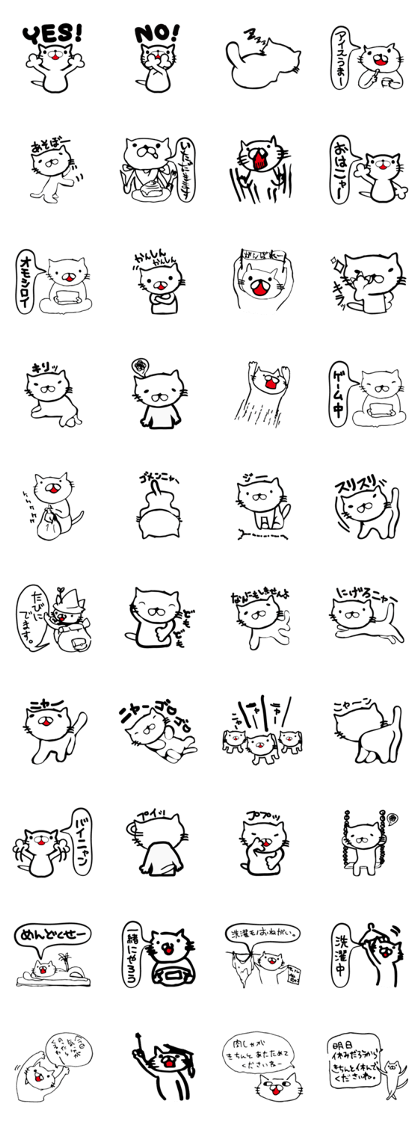 Big brother Cat Big brother Cat