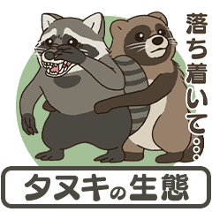 Raccoon dog ecology