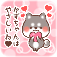 大好きなかずちゃんに送る柴犬スタンプ３