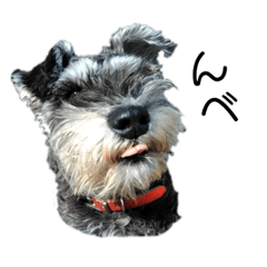 hannah_20200225181738