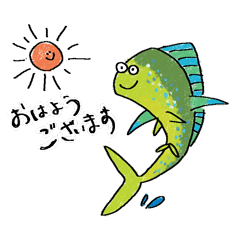 everyday of okinawan fishes