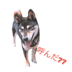 Ayano_20200225205535