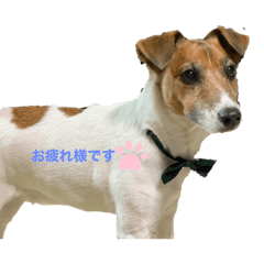 akiko_20200225215820