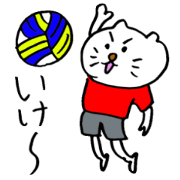 The Mokkun's sports cat.