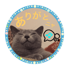 kazumi_20200225220750