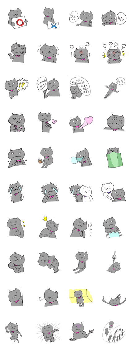 Pink collar cat Pink collar cat