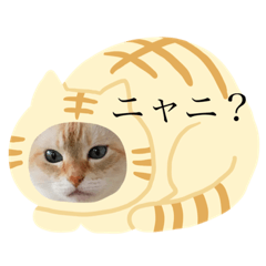 natsumi_20200225233207