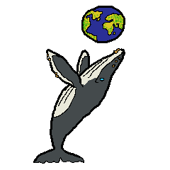 鯨豚聯盟