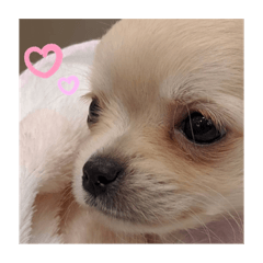 nagisa_20200226000347