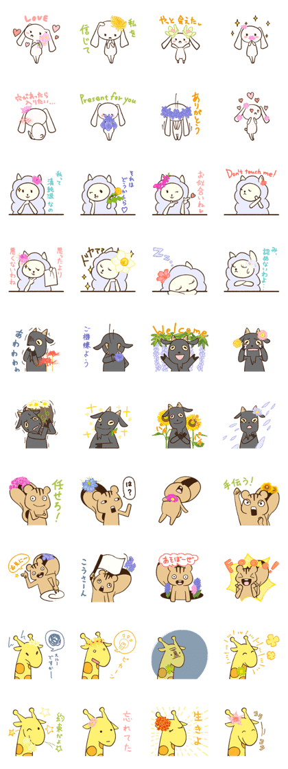 The language of flower for herbivore The language of flower for herbivore