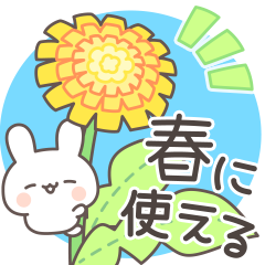 Rabbit every spring