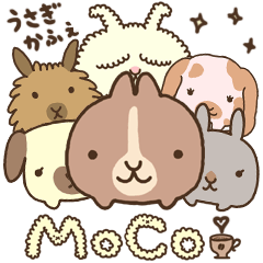 Rabbit cafe "MoCo"