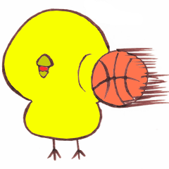 basketball baby chicken