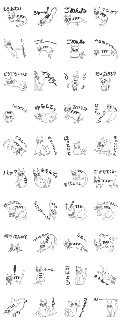 Greeting of cat Greeting of cat