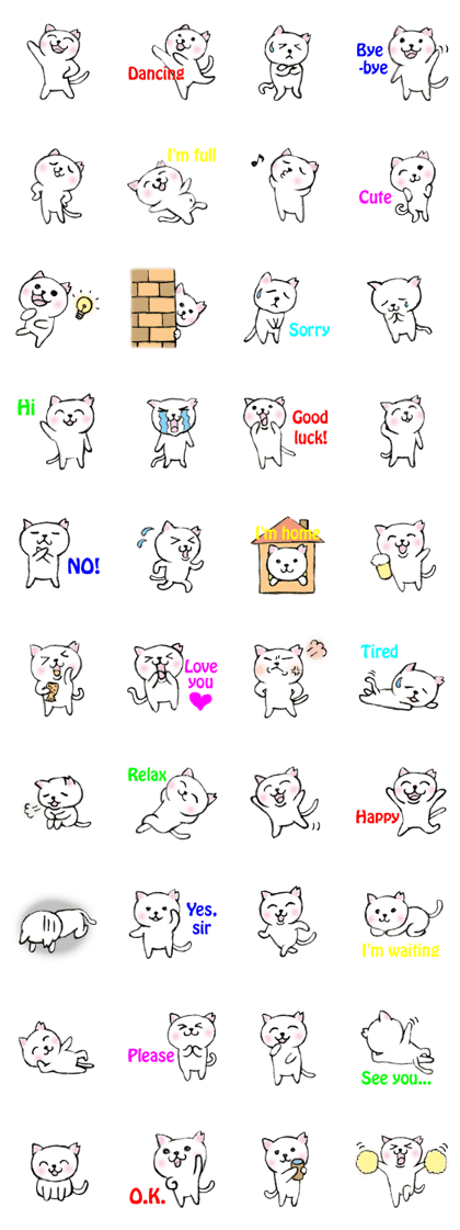 Shiro chan of Stray cat Shiro chan of Stray cat