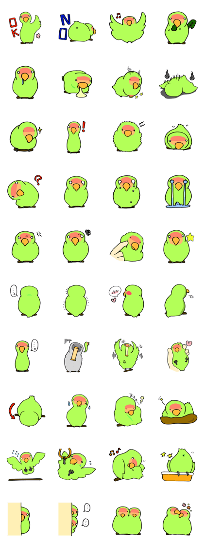 Kozakura-san a Peach-faced Lovebird Kozakura-san a Peach-faced Lovebird