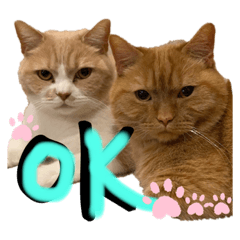 miyukiiii_20200226103355