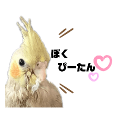 nanana_20200226084236