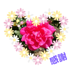 akiko_20200226085557