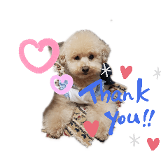 junko_20200226125236