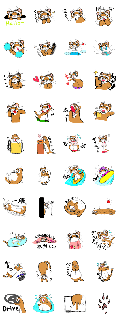 Ferret Maychan remake version