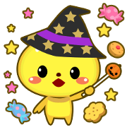 Cute Pet Four seasons