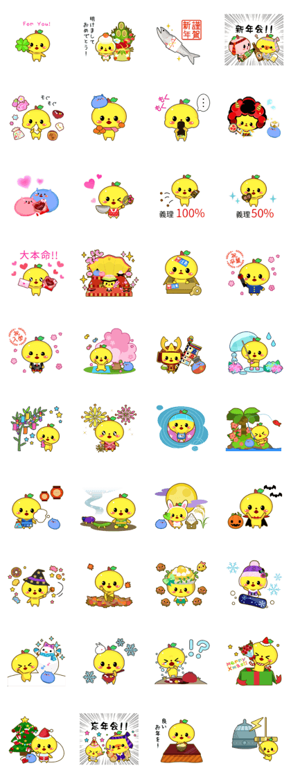 Cute Pet Four seasons