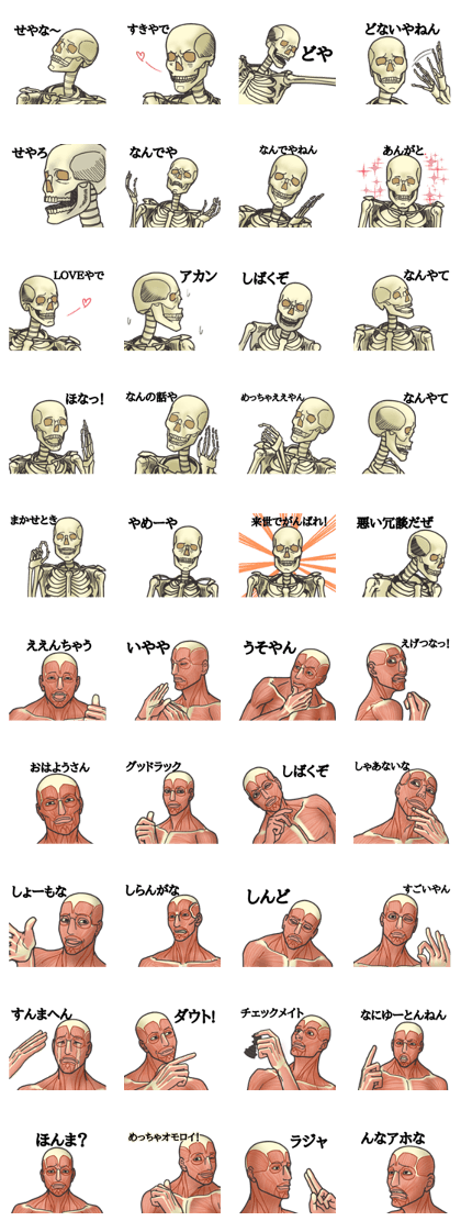 Skeleton and Homunculus Skeleton and Homunculus