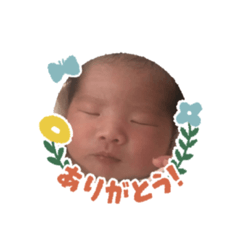 haso_paso20200226081601