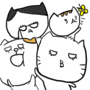 blood group cat blood group cat