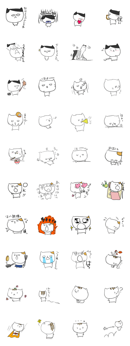 blood group cat blood group cat