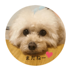 fuwa_nichijyou