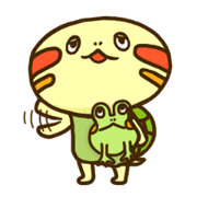 Chiyo of turtle Chiyo of turtle