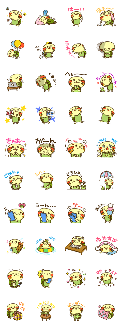 Chiyo of turtle Chiyo of turtle