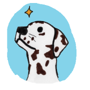 momomo mammals momomo mammals