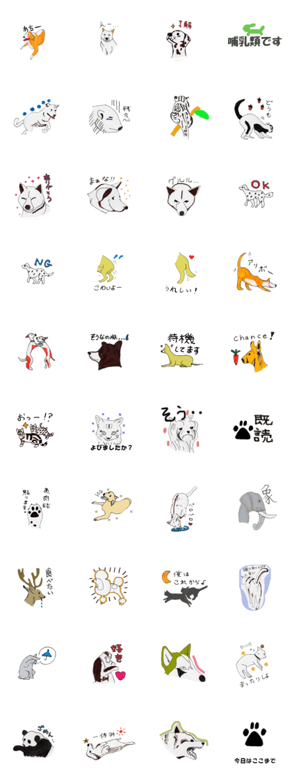 momomo mammals momomo mammals