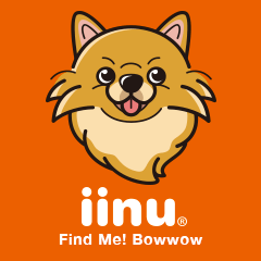 iinu - Pomeranian