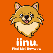 iinu - Pomeranian iinu - Pomeranian