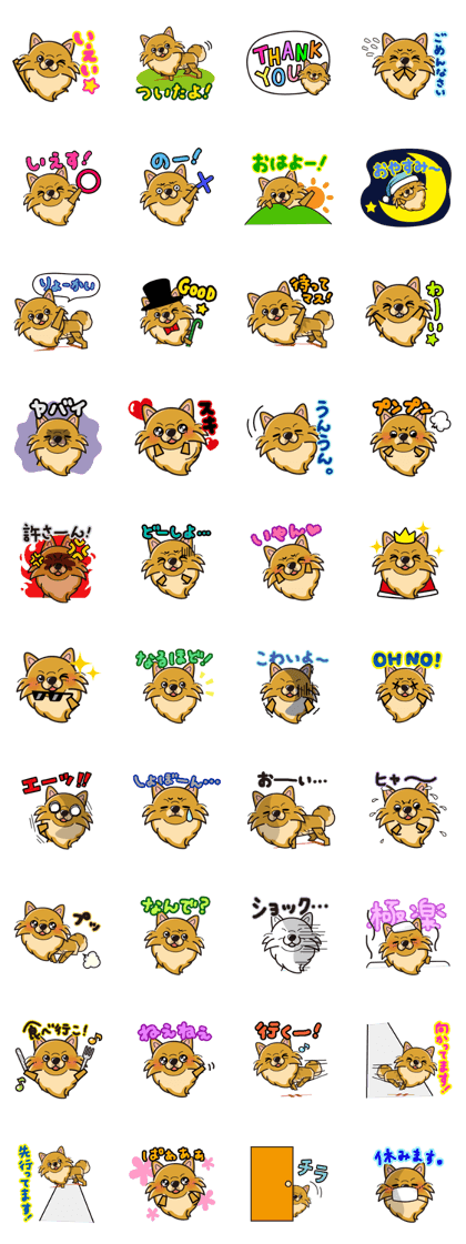 iinu - Pomeranian iinu - Pomeranian