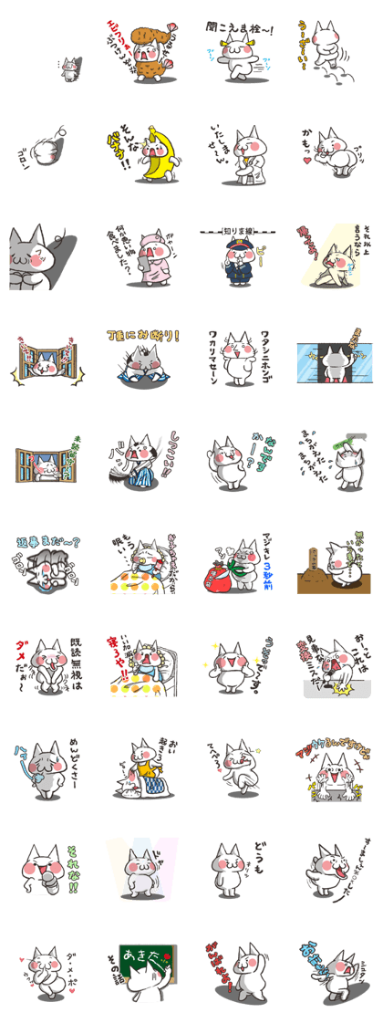 Exasperating, cute cat Exasperating, cute cat