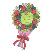 FAIRY TURTLE FAIRY TURTLE