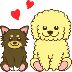 Poodle & Chihuahua2