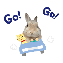 うちの子シリーズ『うさぎのポンちゃん』