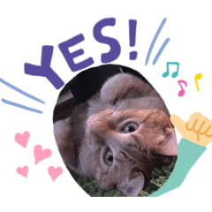 yukobomatsumi_20200226165430