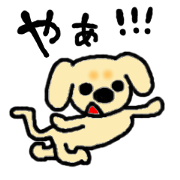 DOG Miniature Dachshund 2