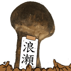 Namise's Matsutake.
