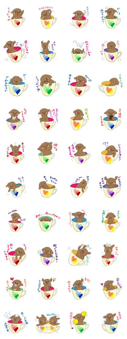 Teacup life of the poodle "cocoa"