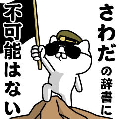 "SAWADA"name/Military cat